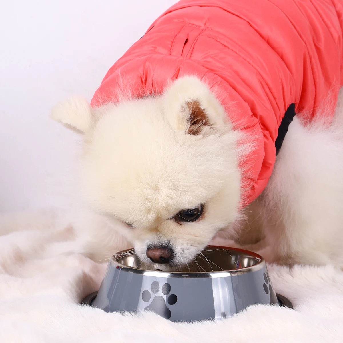 1PC Stainless Steel Pet Bowl Cat Bowl Dog Food Bowl Multi-Specification Anti-Fall Food Bowl Food Bowl Feeding Pet Supplies