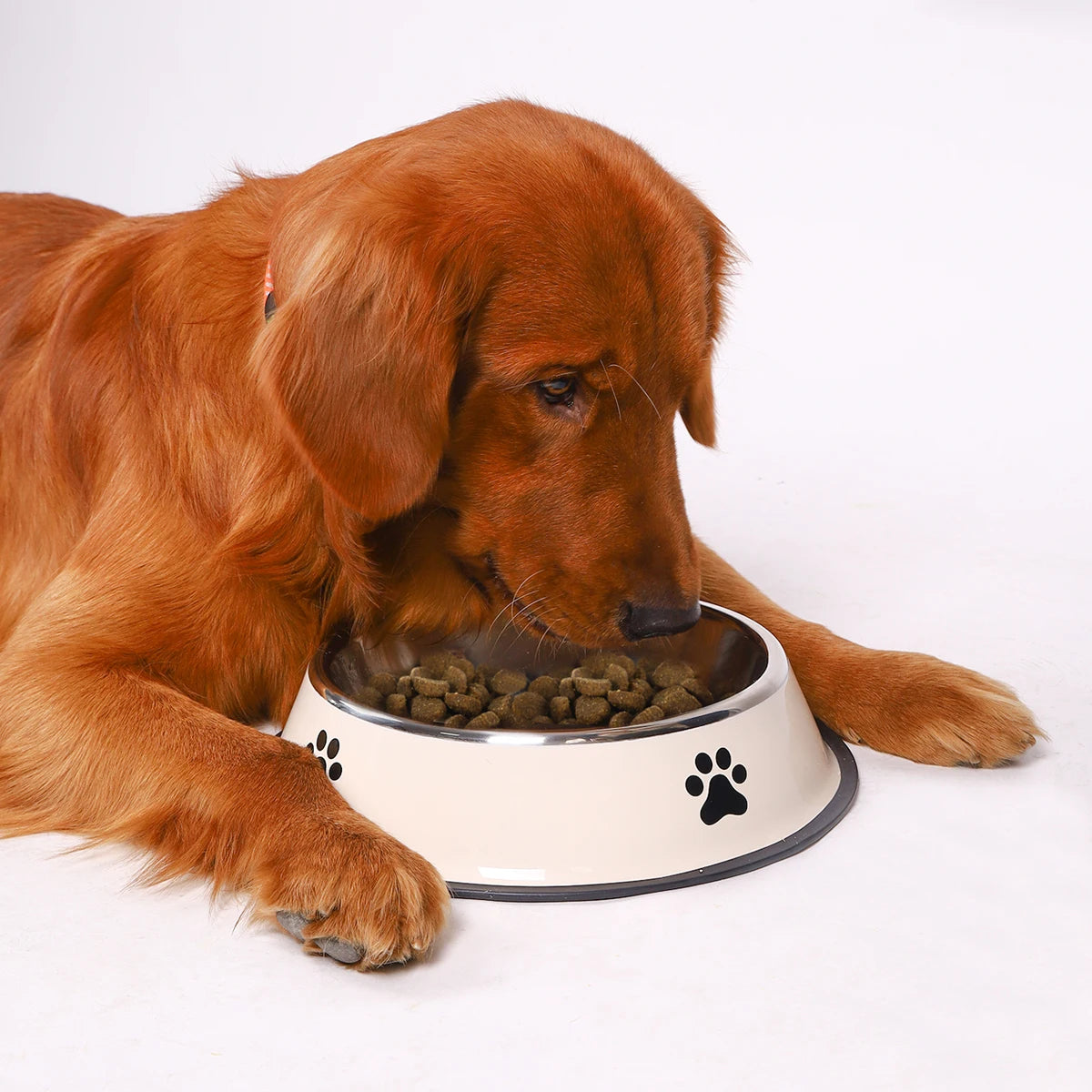 1PC Stainless Steel Pet Bowl Cat Bowl Dog Food Bowl Multi-Specification Anti-Fall Food Bowl Food Bowl Feeding Pet Supplies